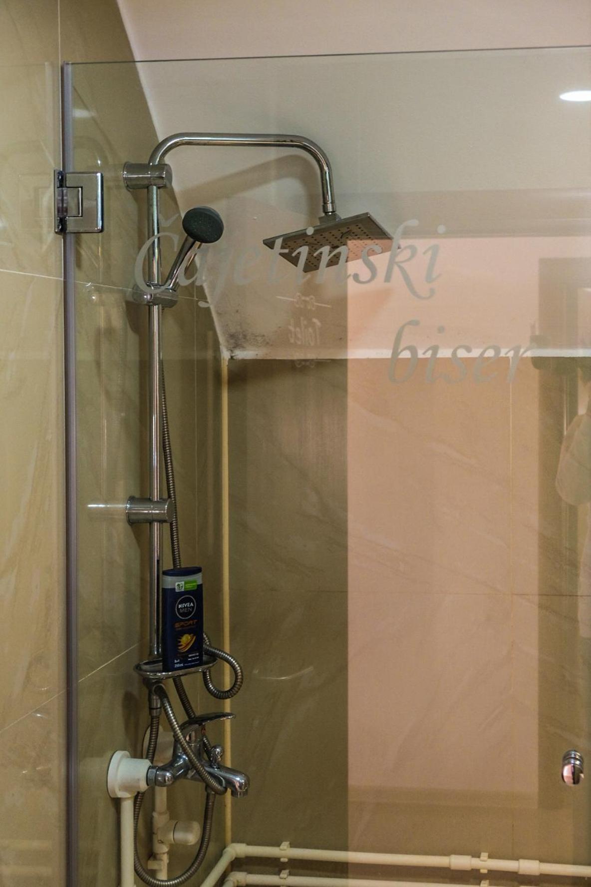 Vila Cajetinski Biser -Apartment Lux コパオニク エクステリア 写真